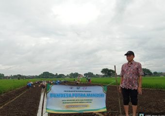 PROGRAM KETAHANAN PANGAN DESA JOSARI MEMALUI BUMDESA PUTRA MANDIRI