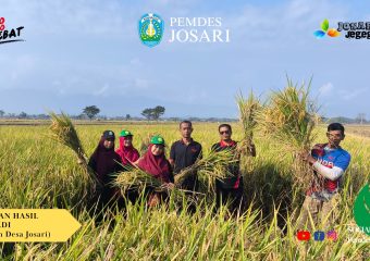 Perkiraan Hasil Panen Padi Desa Josari